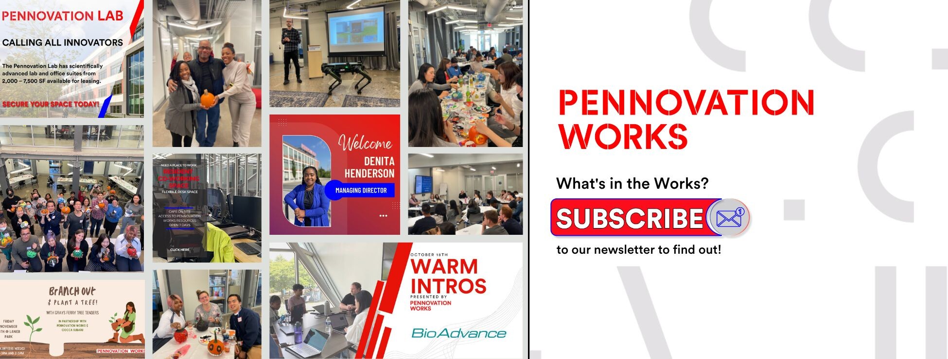 Subscribe to the Pennovation Newsletter