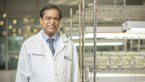 Photo of Dr. Henry Daniell, Vice-Chair and W.D. Miller Professor of the Department of Basic & Translational Sciences