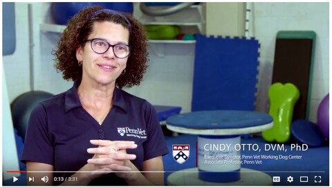 Penn Vet Cindy Otto