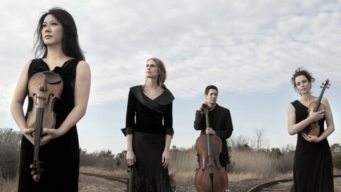 Daedalus Quartet