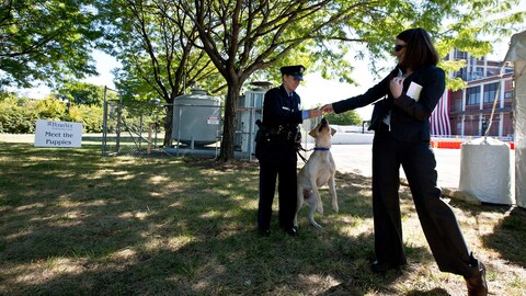 Penn Vet Working Dog Center