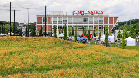 Photo of Pennovation Center exterior against flowering meadow