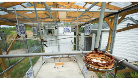 Photo of smart aviary