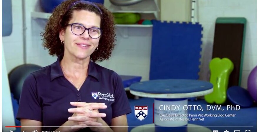 Penn Vet Cindy Otto