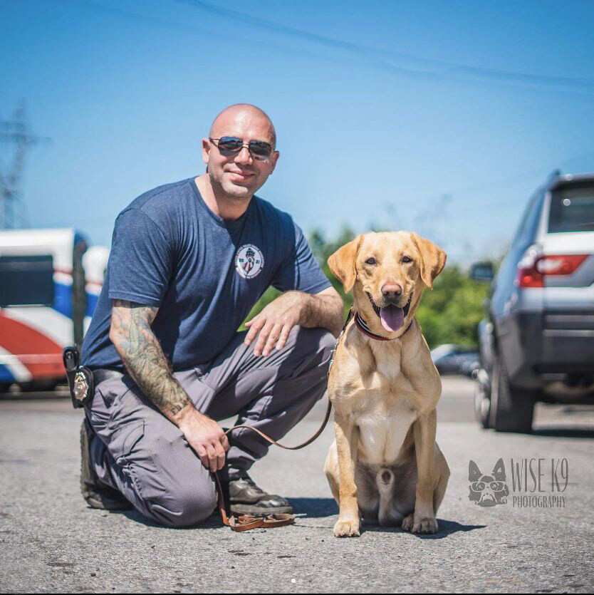 Penn Vet Working Dog Center Labrador Retriever and FDNY Partner