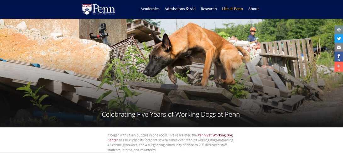penn homepage screenshot working dogs article