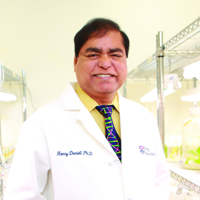 Henry Daniell: Low-cost Drug in Lettuce
