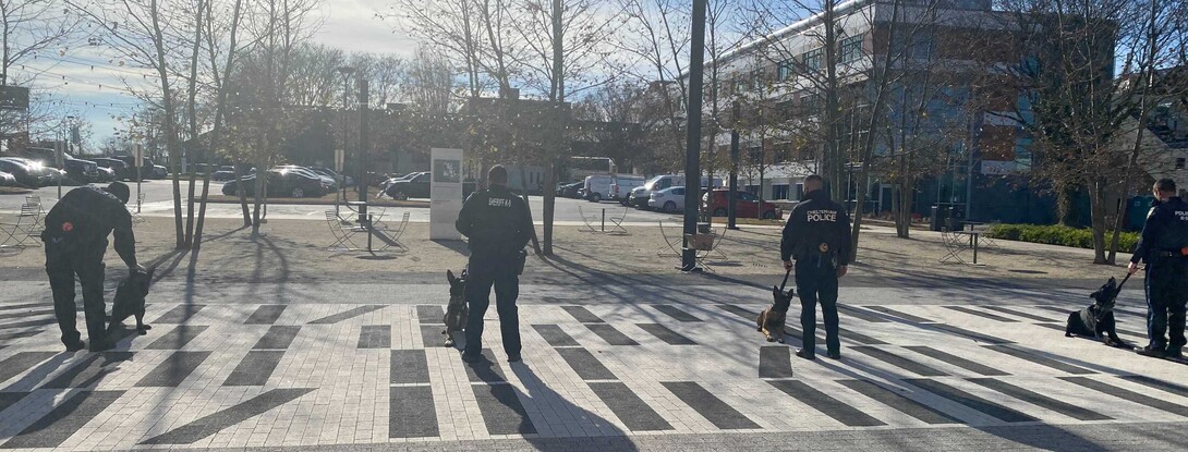 Officers walking their K9 officer dogs across Pennovation