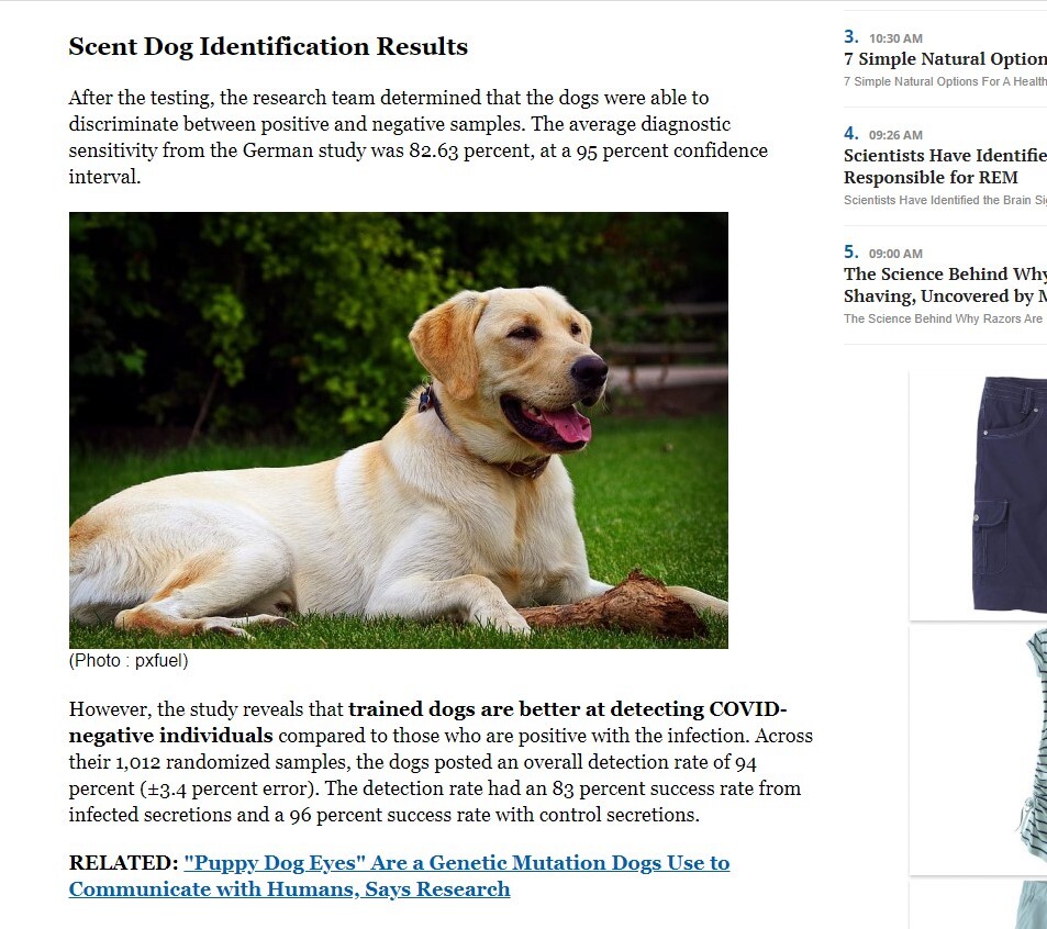 clip science times dog sniff 30july